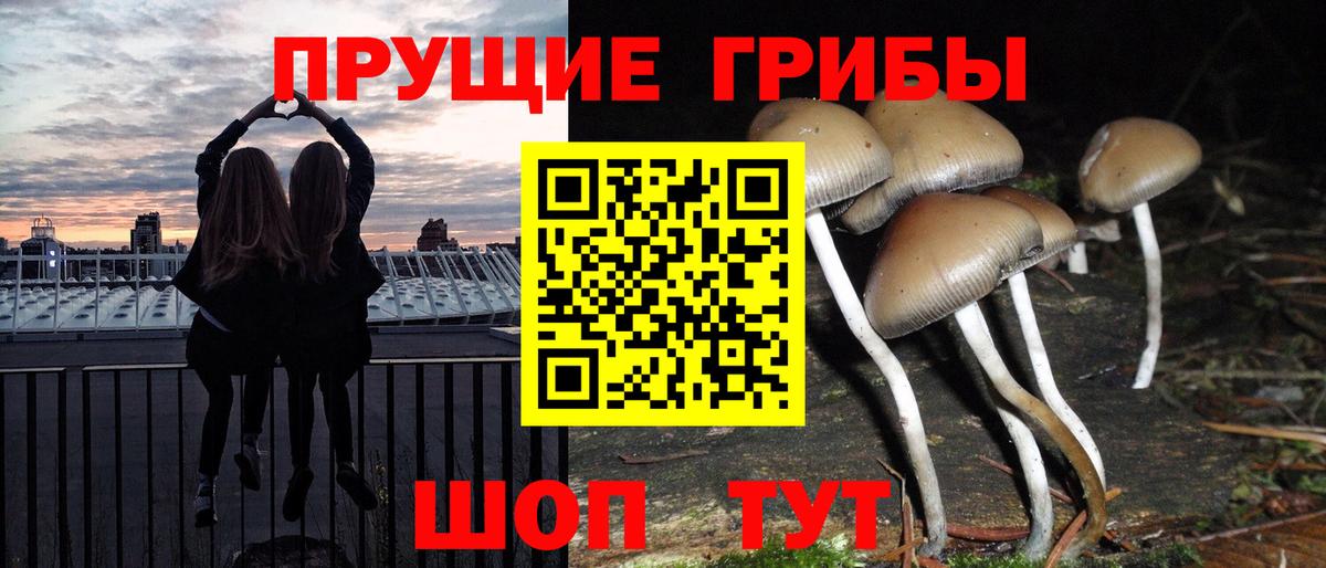 Галлюциногенные грибы прущие грибы Иваново