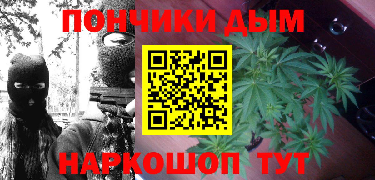 Каннабис конопля Иваново
